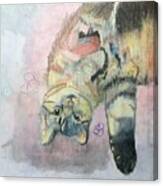 Playful Cat Named Simba Canvas Print