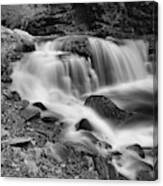 Cayuga Falls Autumn View Black And White Canvas Print