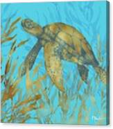 Cedar Key Turtle Ii Canvas Print