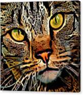 Celtic Knot Cat Art Canvas Print