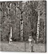 Cemetery At Cataldo Mission Bw Canvas Print