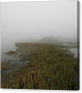Charleston Fog - Wando River Canvas Print