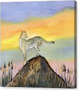 Cheetah In Sunset Canvas Print