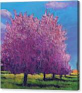 Cherry Blossom Day Canvas Print