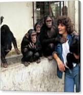 Chimpanzee Conservation Centre Canvas Print