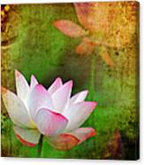 Chinese Painting Style Lotus Canvas Print