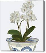 Chinoiserie Orchids White, Dragon Bowl Blue Canvas Print