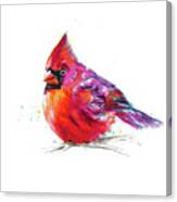 Christmas Cardinal I Canvas Print