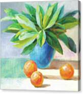 Citrus Still Life Canvas Print