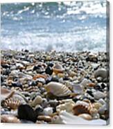 Close Up From A Beach Canvas Print
