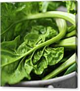 Close Up Of Spinach In Colander Canvas Print
