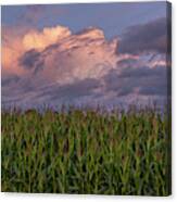 Clouds 'n' Corn Canvas Print