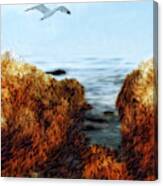 Coastal Flight Canvas Print
