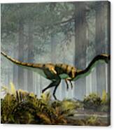 Coelophysis In A Forest Canvas Print