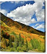 Color In The Spotlight At Red Mountain Pass Canvas Print