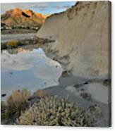 Colorado National Monument At Sunrise Reflected In Bentonite Pool Canvas Print