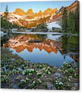 Colorado Reflection - Willow Lakes Canvas Print