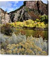 Colorado River Aspens In Color Canvas Print