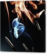 Colored Incense Smoke Canvas Print