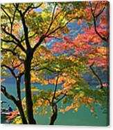 Colored Leaves Canvas Print