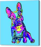 Colorful French Bulldog On Blue Canvas Print