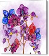 Colorful Orchids Canvas Print