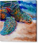 Colorful Sea Turtle Canvas Print
