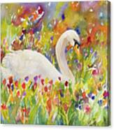 Colorful Swan Canvas Print