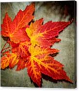 Colors Of Fall Canvas Print