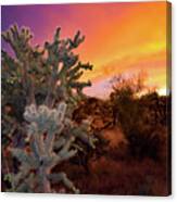 Colors Of The Setting Sun Canvas Print