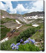 Columbine And Columbus Basin Canvas Print