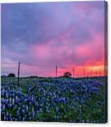 Coming Storm Ii Canvas Print