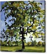 Common Tree #1 Canvas Print