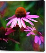 Coneflower Says Can You See Me Now? Canvas Print