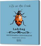 Convergens Ladybug Canvas Print