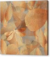 Copper Forest Canvas Print