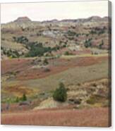 Coppery Hills Reverie Canvas Print
