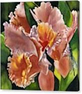 Coral Orchid Canvas Print