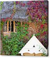 Cottage And Ivy Canvas Print