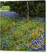 Country Spring Canvas Print