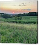 Country View Canvas Print