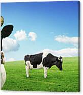 Cows On Pasture Canvas Print