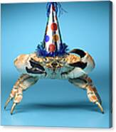 Crab Wearing Birthday Party Hat Canvas Print