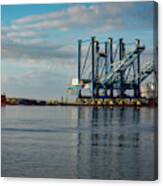 Cranes Head To Wilmington. Canvas Print