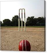 Cricke Ball Aand Wickets On A Pitch Canvas Print