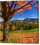 Crisp Autumn Leaves Canvas Print