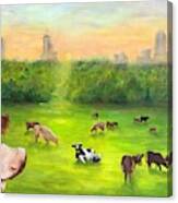 Curious Cow Canvas Print