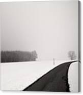 Curve In Snow Canvas Print