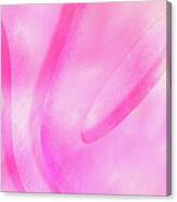 Curves In Pink Canvas Print