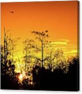 Cypress Swamp Sunset 3 Canvas Print